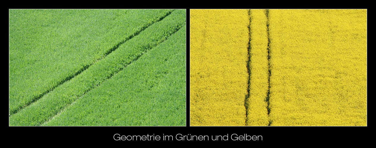 Geometrie im Grünen und Gelben