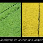 Geometrie im Grünen und Gelben