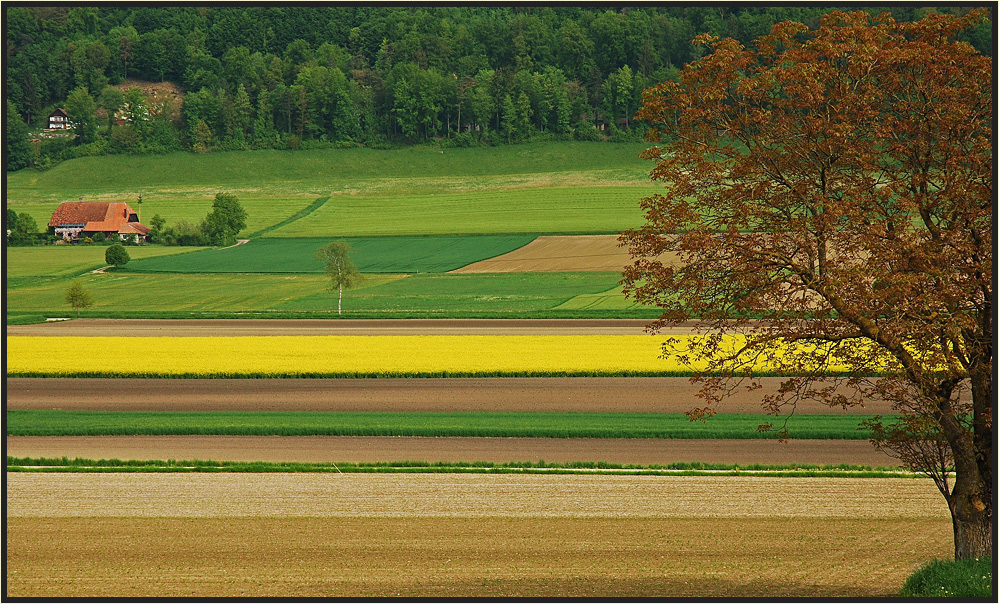 Geometrie in der Landwirtschaft