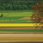 Geometrie in der Landwirtschaft