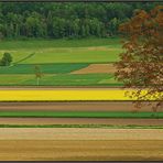 Geometrie in der Landwirtschaft