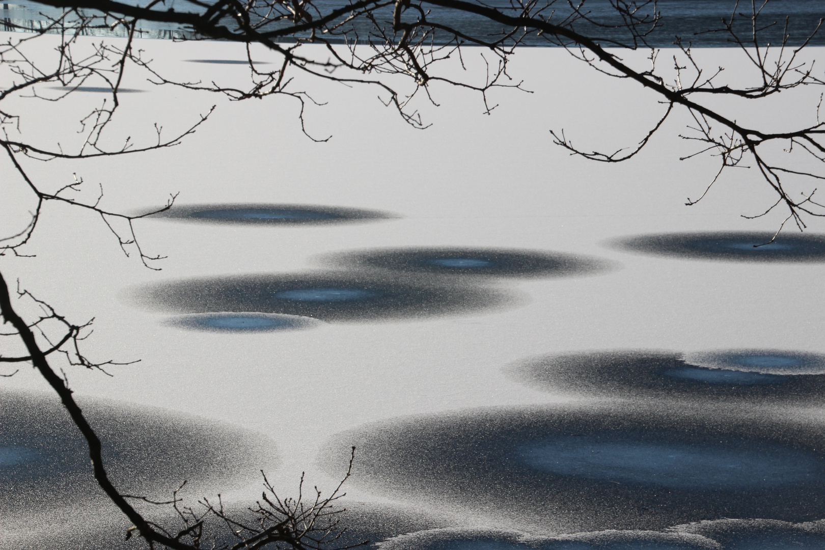 Geometrie in der Natur