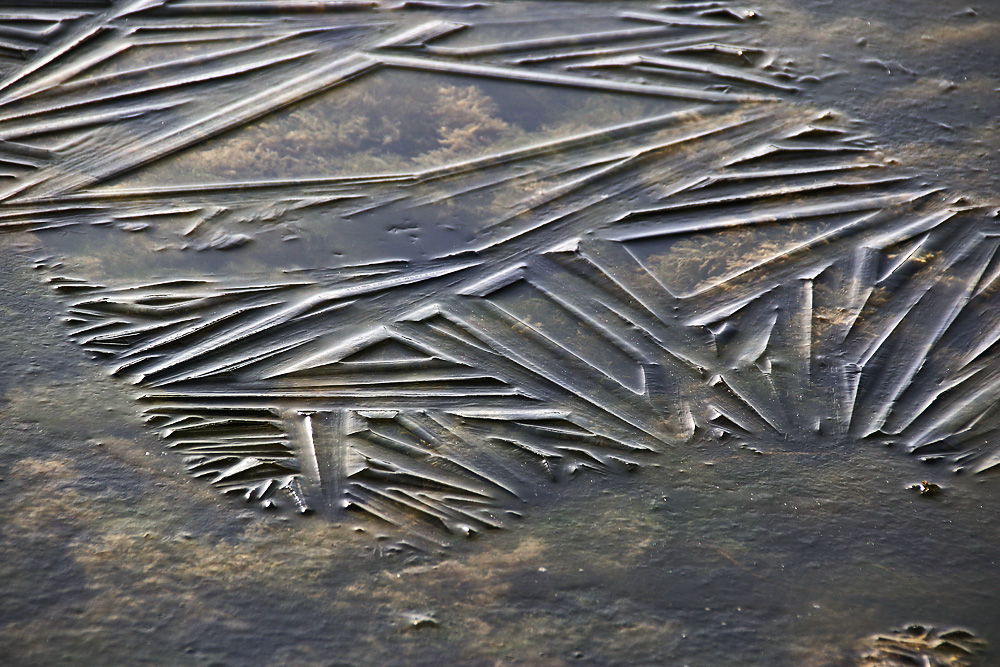 Geometrie in der Natur