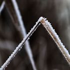 Geometrie in der Natur