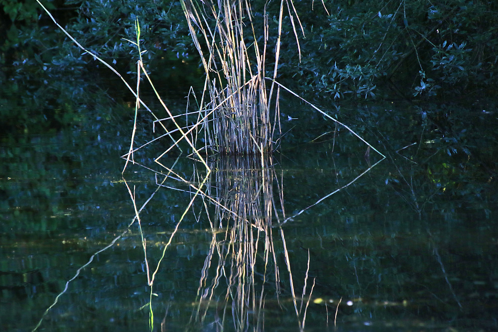 Geometrie in der Natur