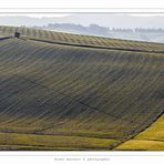 Geometrie tra le colline