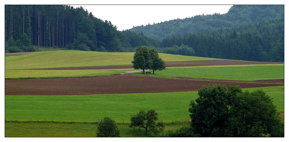 Geometrische Flächen