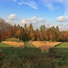 Geometrische Herbstlandschaft