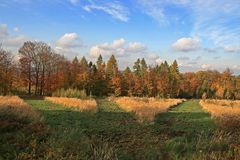 Geometrische Herbstlandschaft