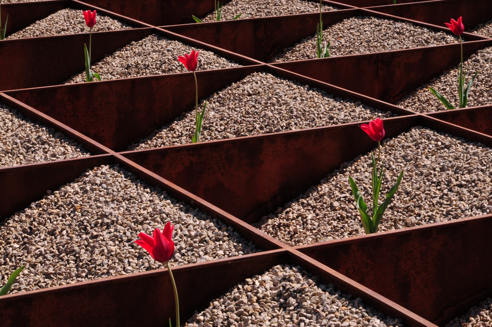 Geometrische Tulpen