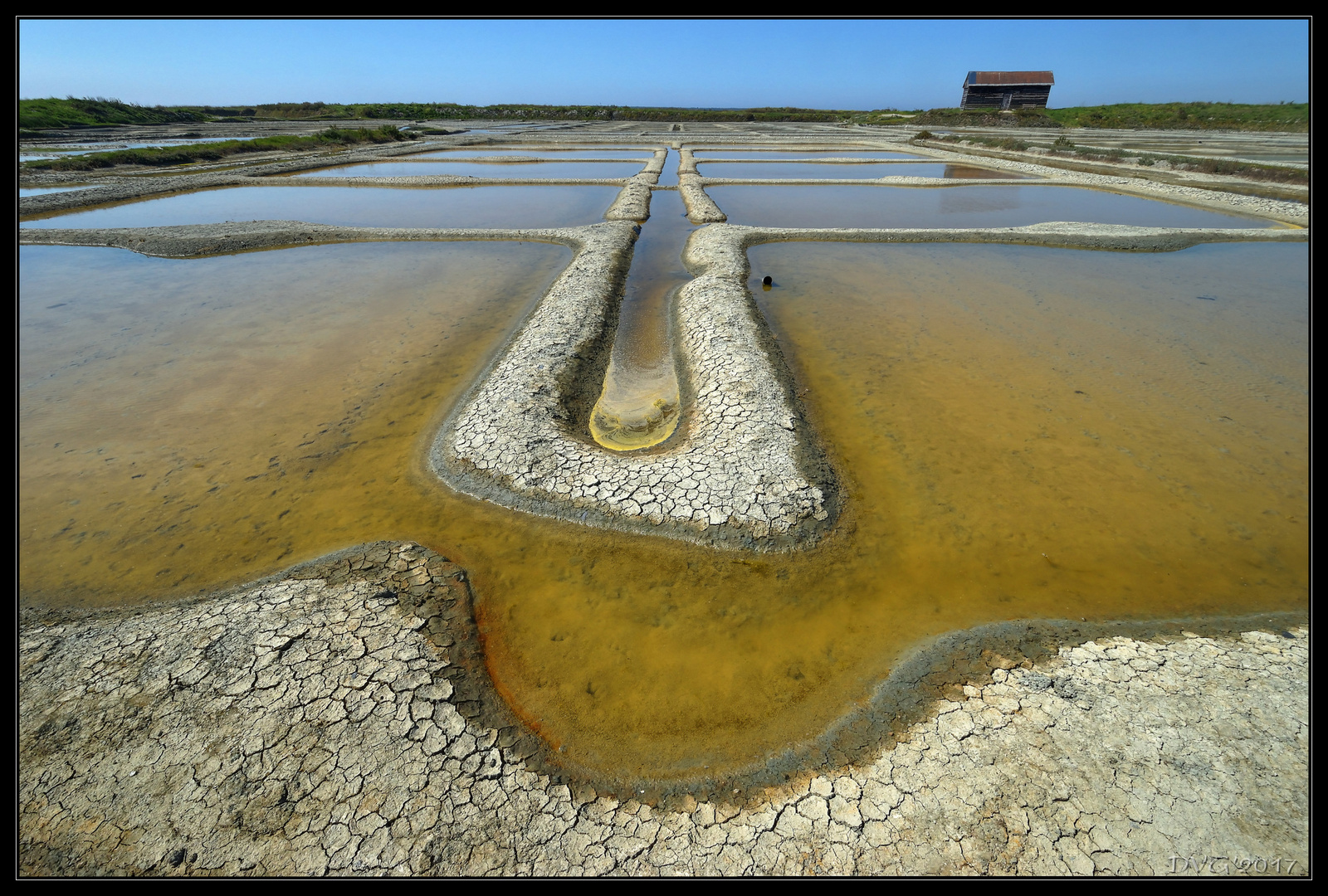 Geometry of salt marshes 