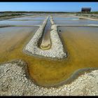 Geometry of salt marshes 