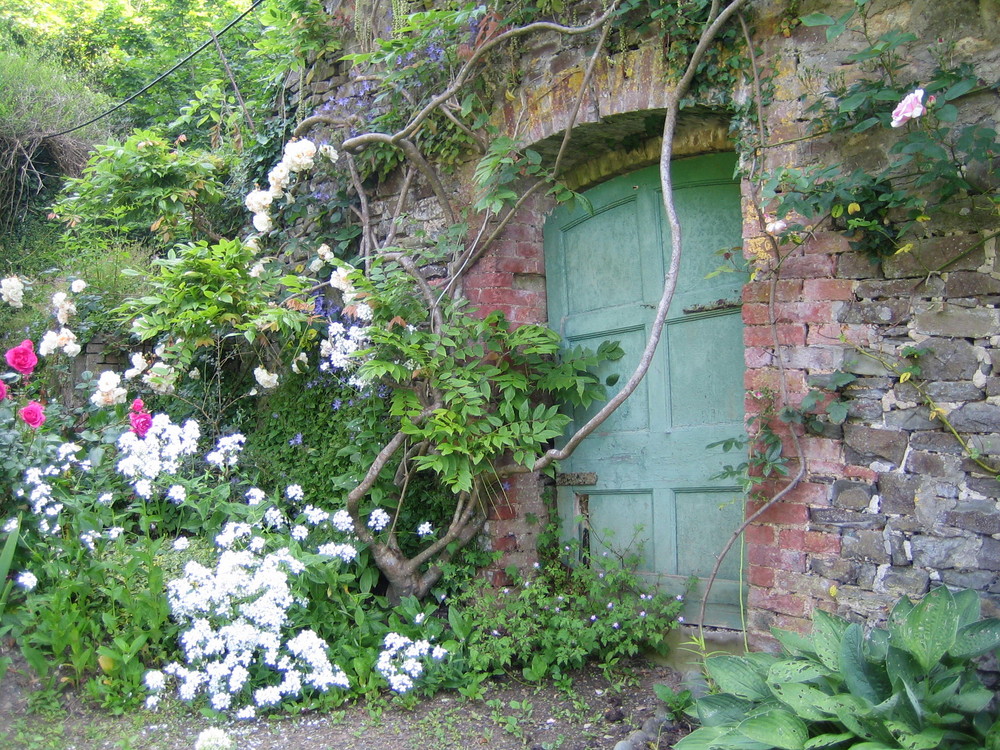 Geordnete Unordnung im Garten der Hartland Abbey