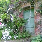 Geordnete Unordnung im Garten der Hartland Abbey