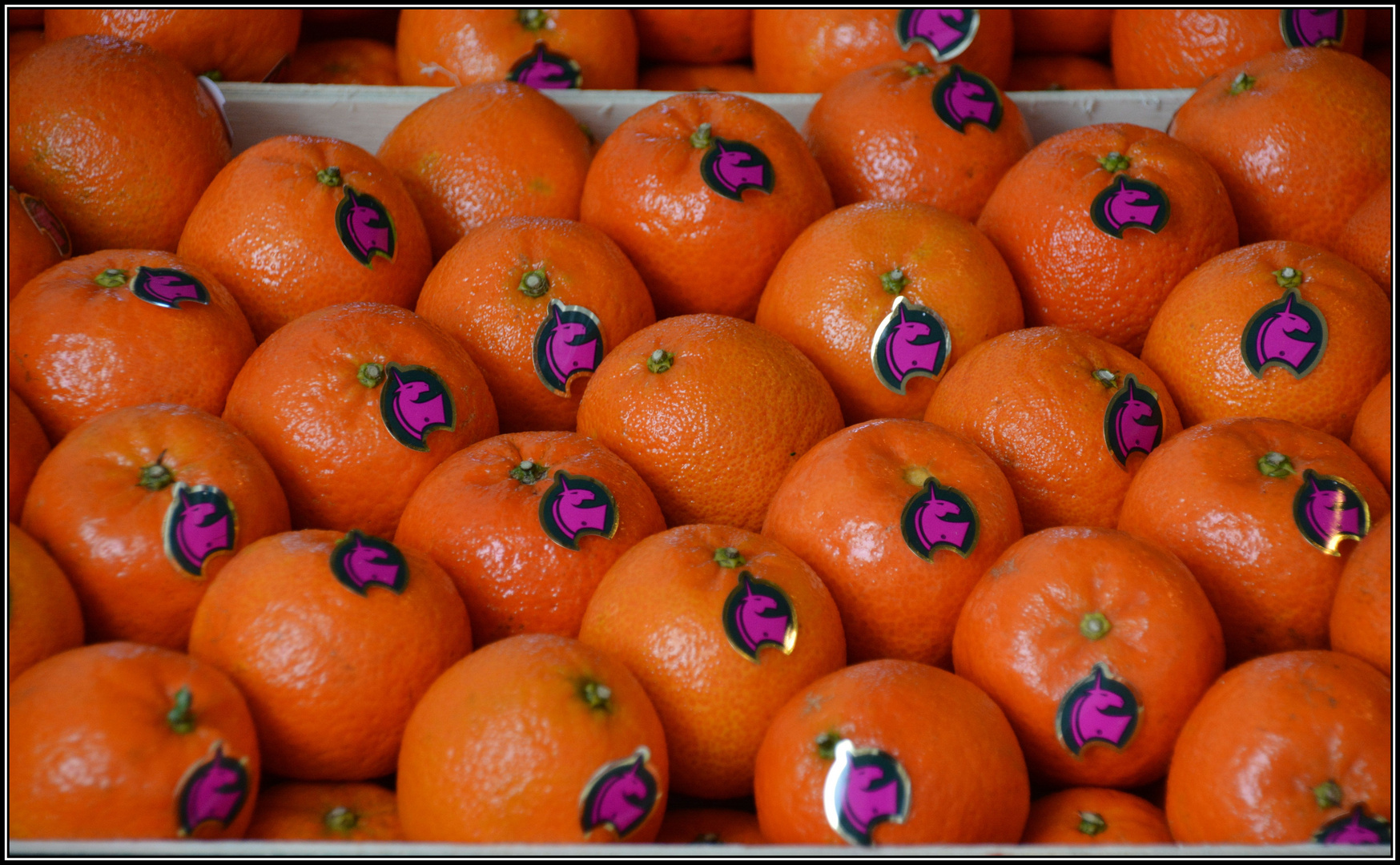 geordnetes Vitamin C