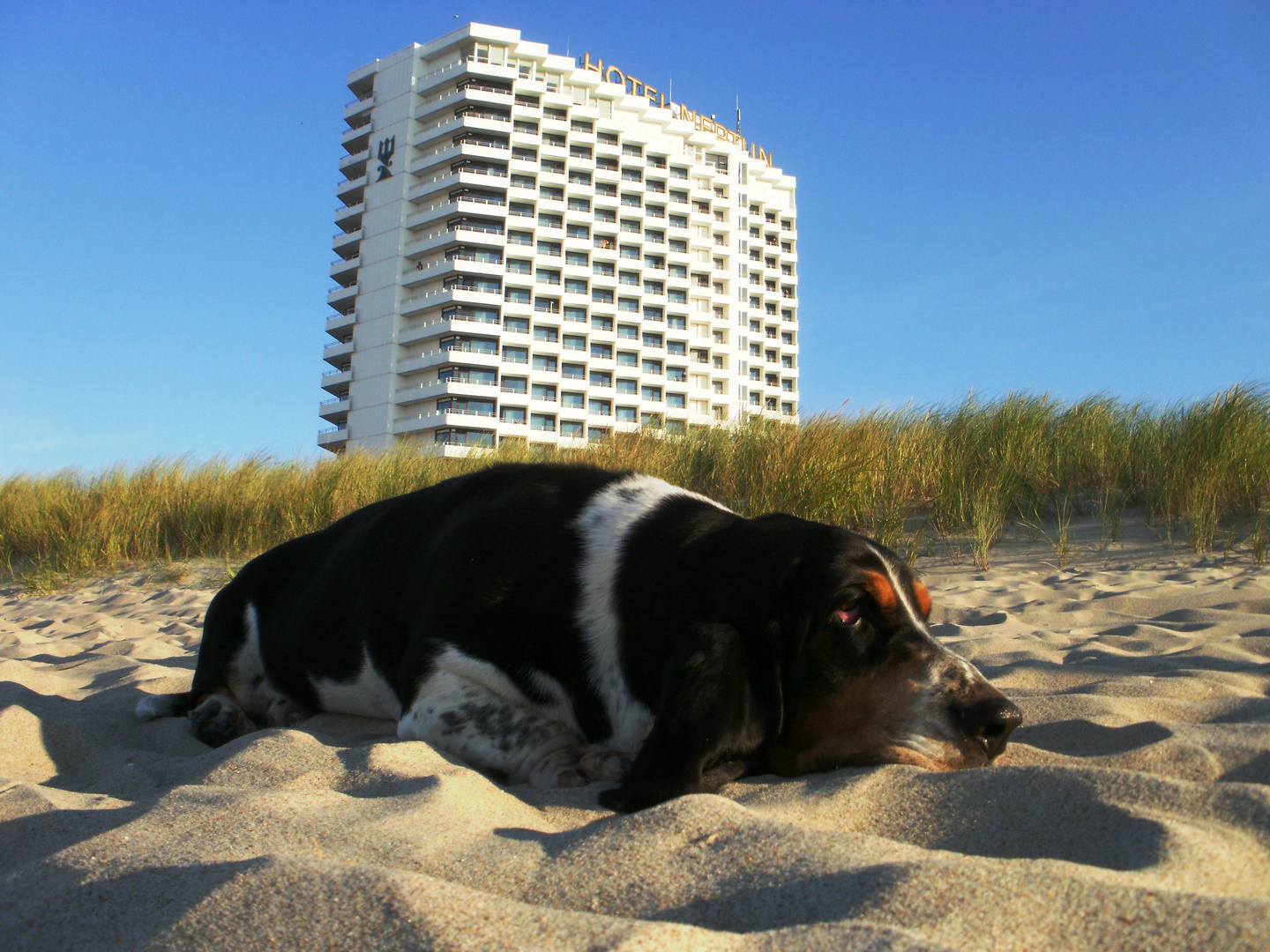 George am Strand von Warnemünde