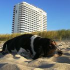 George am Strand von Warnemünde