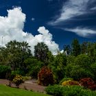 George Brown Darwin Botanic Gardens