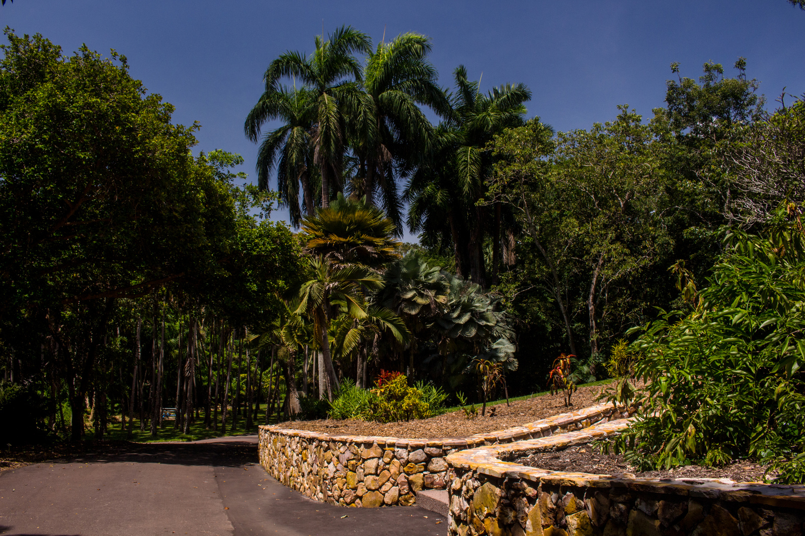 George Brown Darwin Botanic Gardens