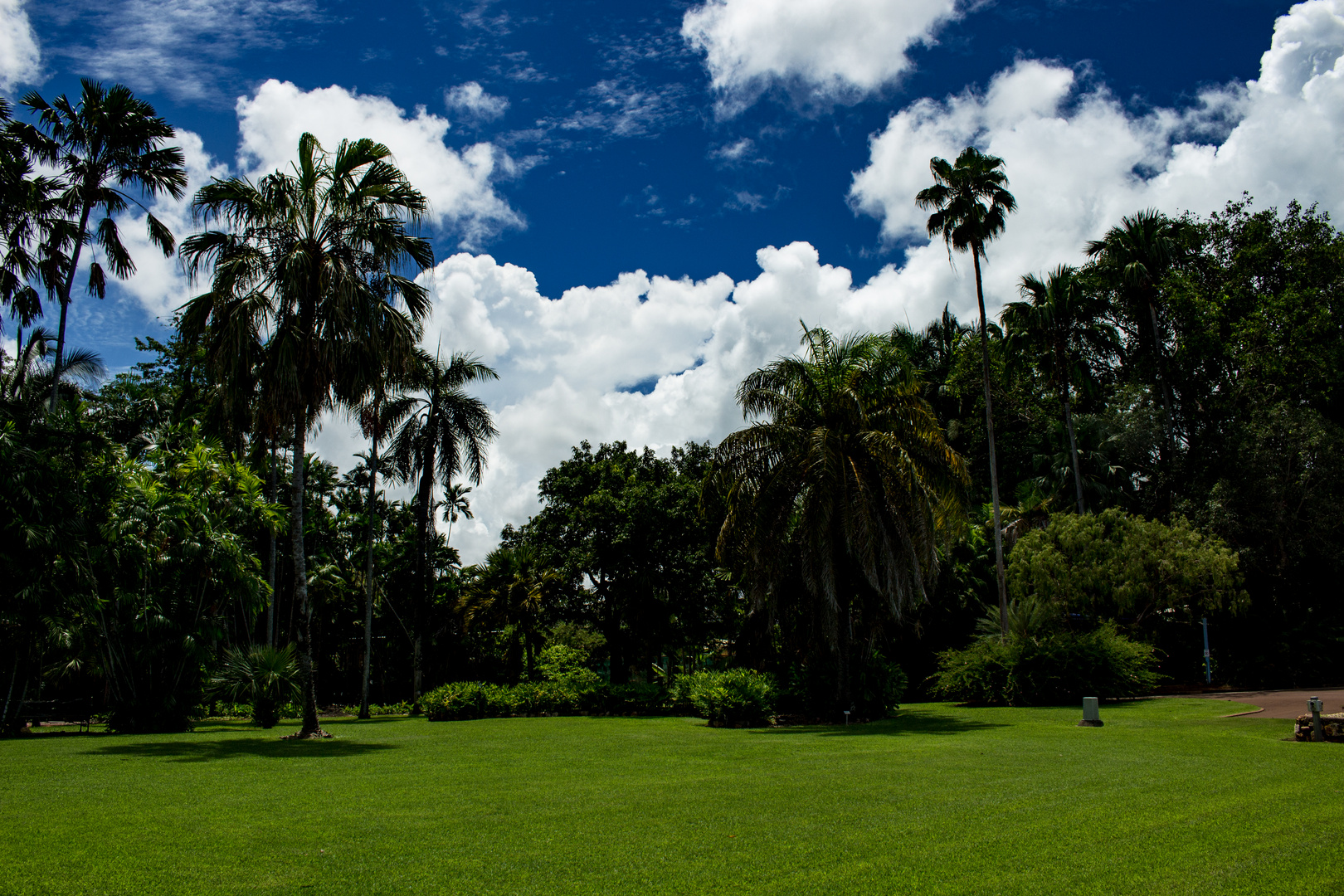 George Brown Darwin Botanic Gardens