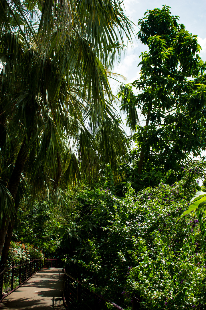 George Brown Darwin Botanic Gardens