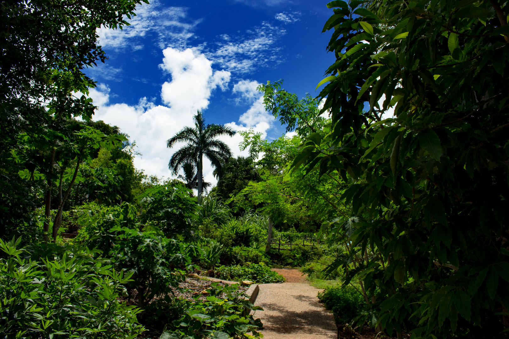 George Brown Darwin Botanic Gardens