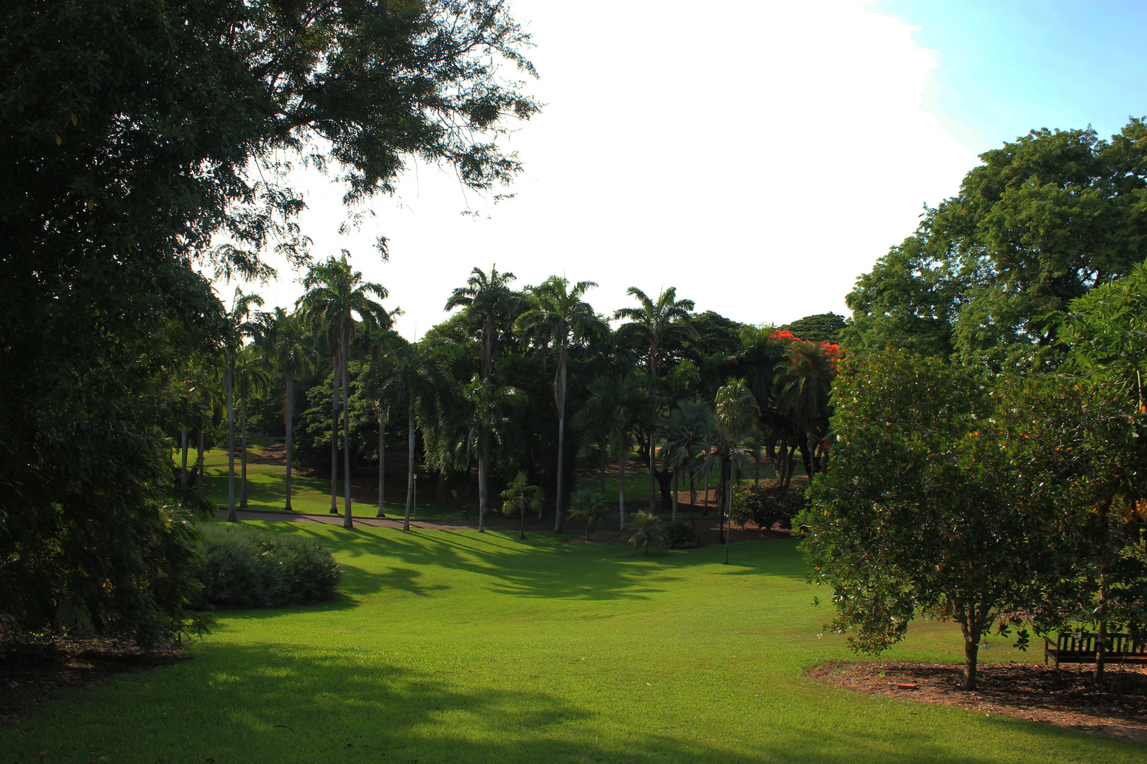 George Brown Darwin Botanic Gardens