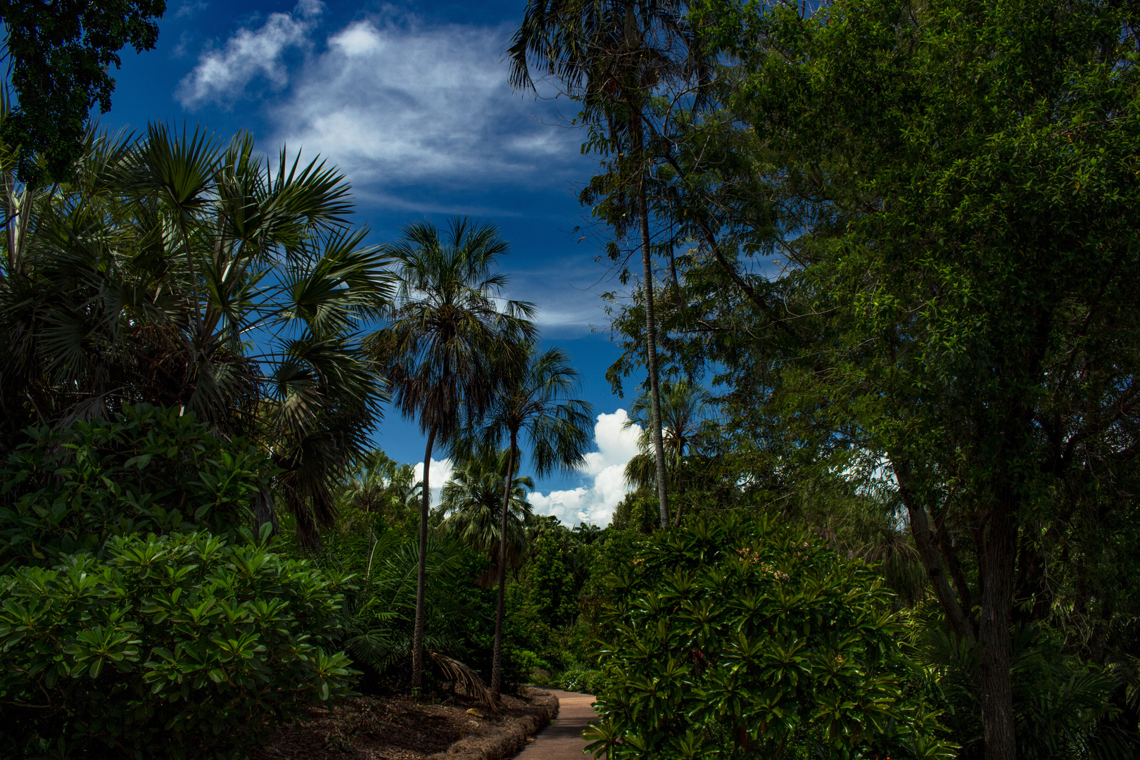 George Brown Darwin Botanic Gardens