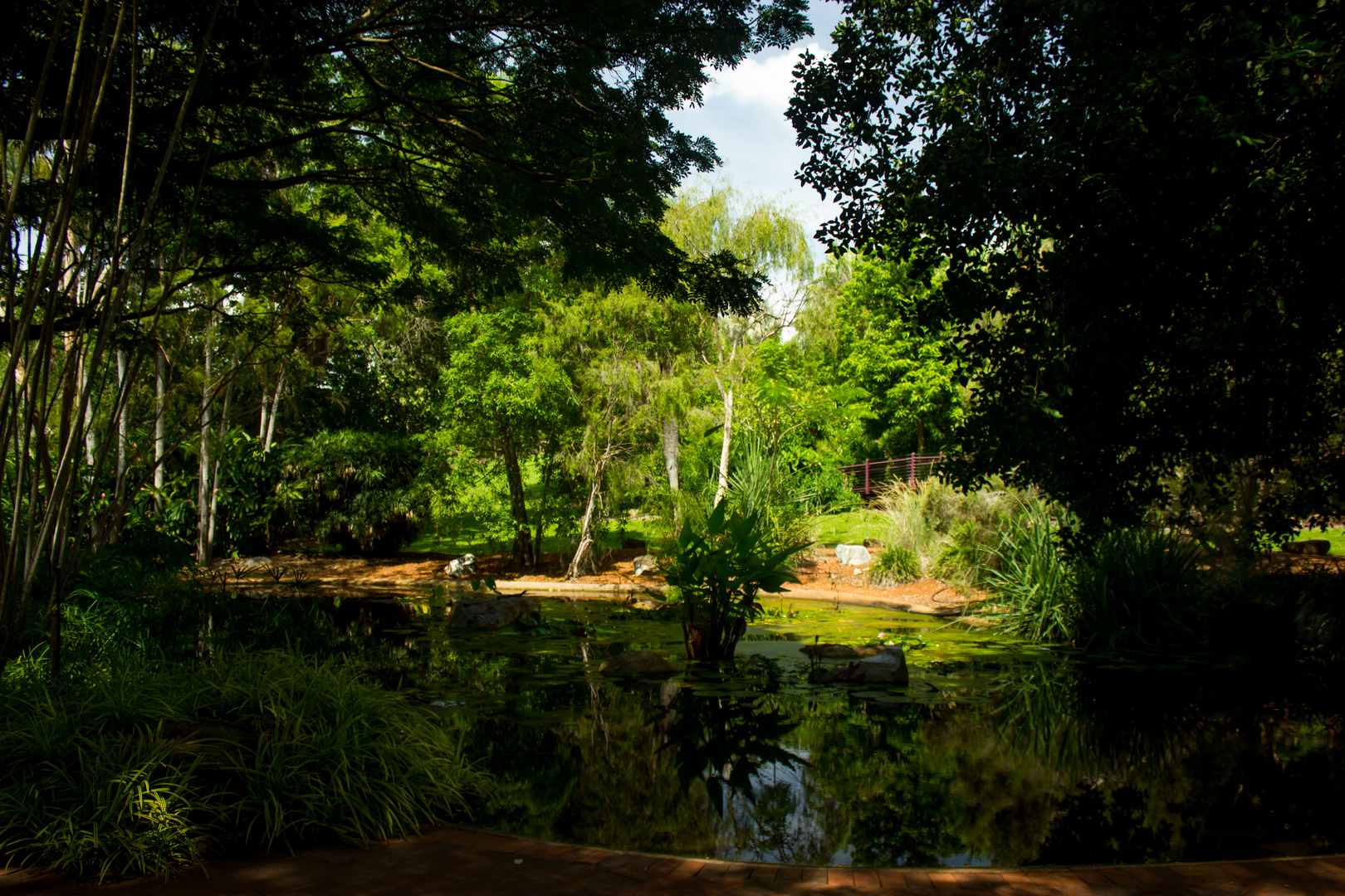 George Brown Darwin Botanic Gardens