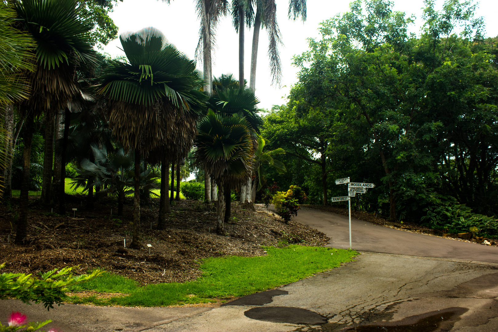 George Brown Darwin Botanic Gardens