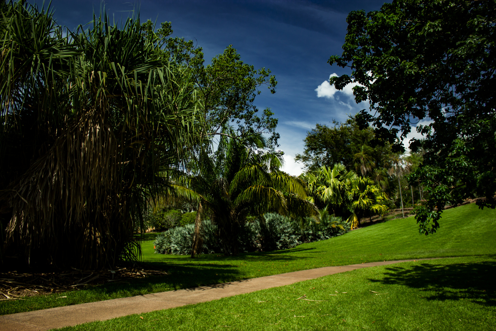 George Brown Darwin Botanic Gardens