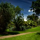 George Brown Darwin Botanic Gardens