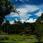 George Brown Darwin Botanic Gardens