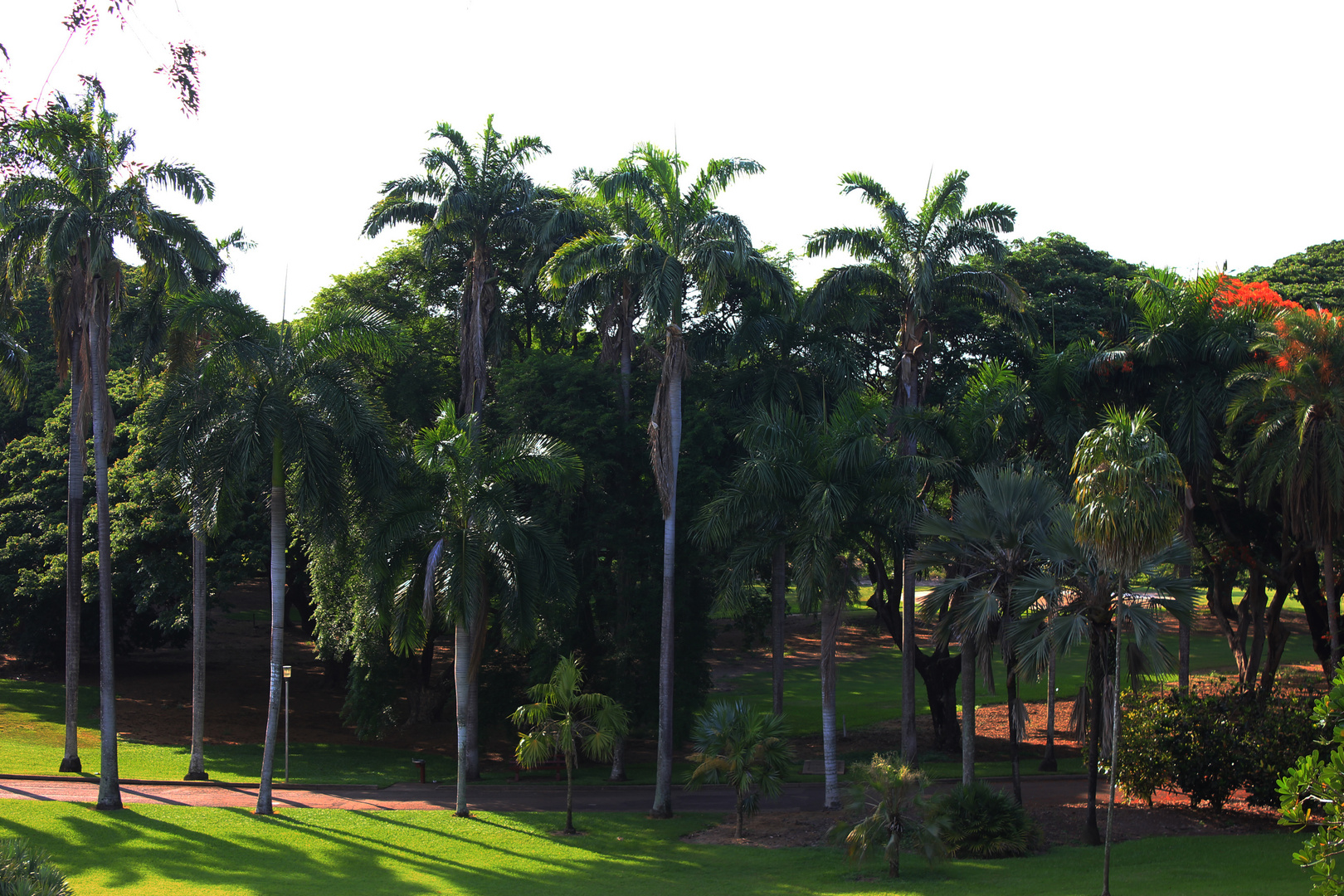 George Brown Darwin Botanic Gardens II