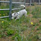 ~~~~~George Smelling The Flowers~~~~~