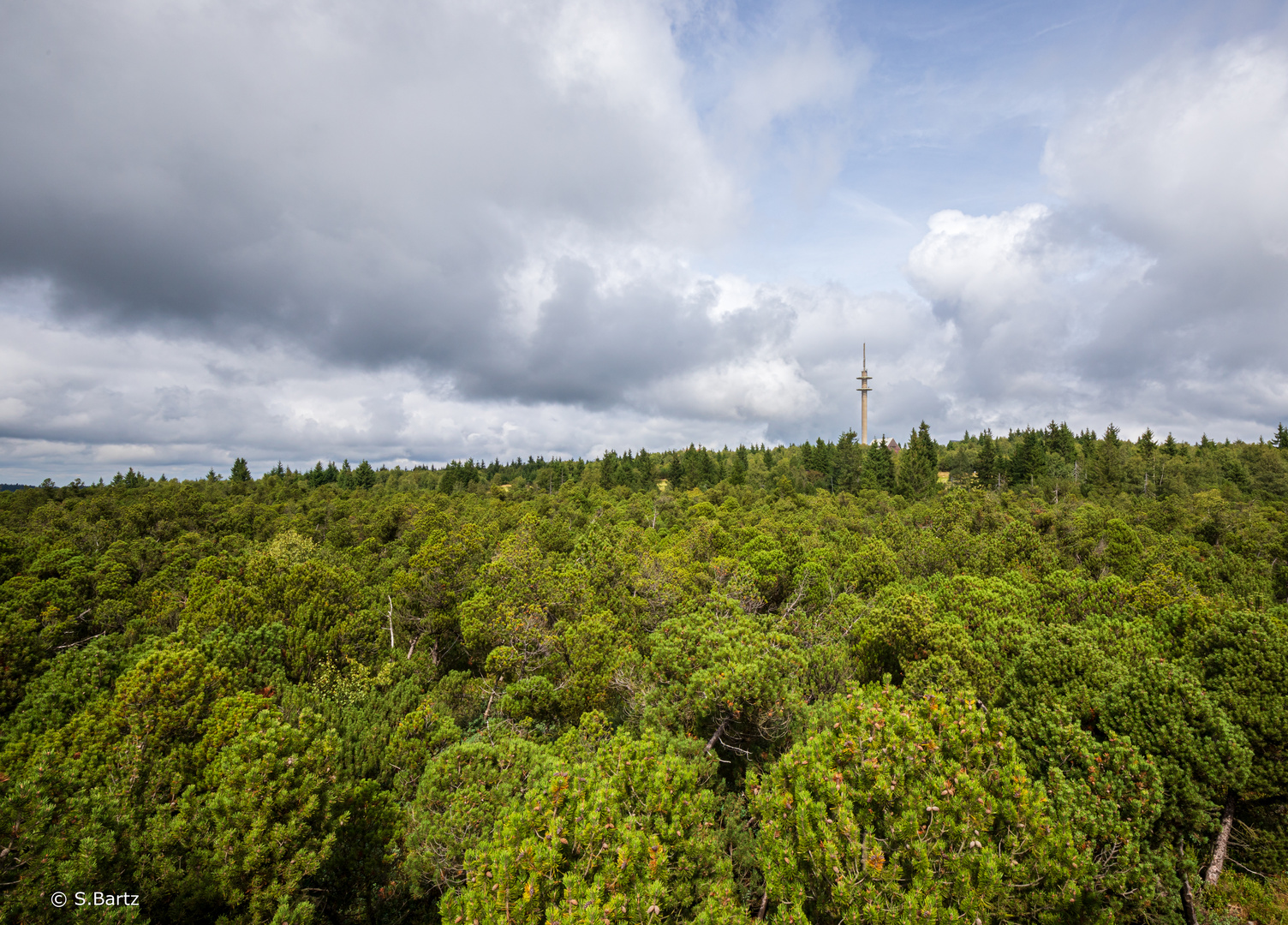 Georgenfelder Hochmoor (01)  09/2023