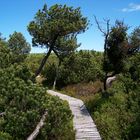 Georgenfelder Hochmoor 