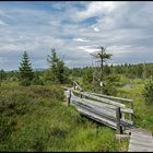 Georgenfelder Hochmoor