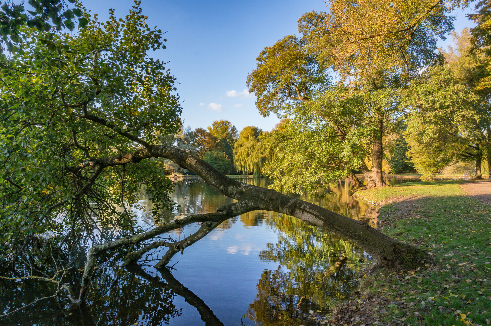 Georgengarten II - Hannover