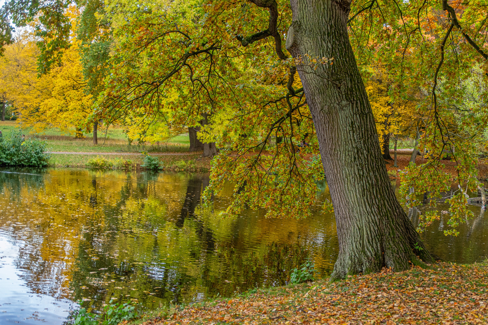 Georgengarten III - Hannover