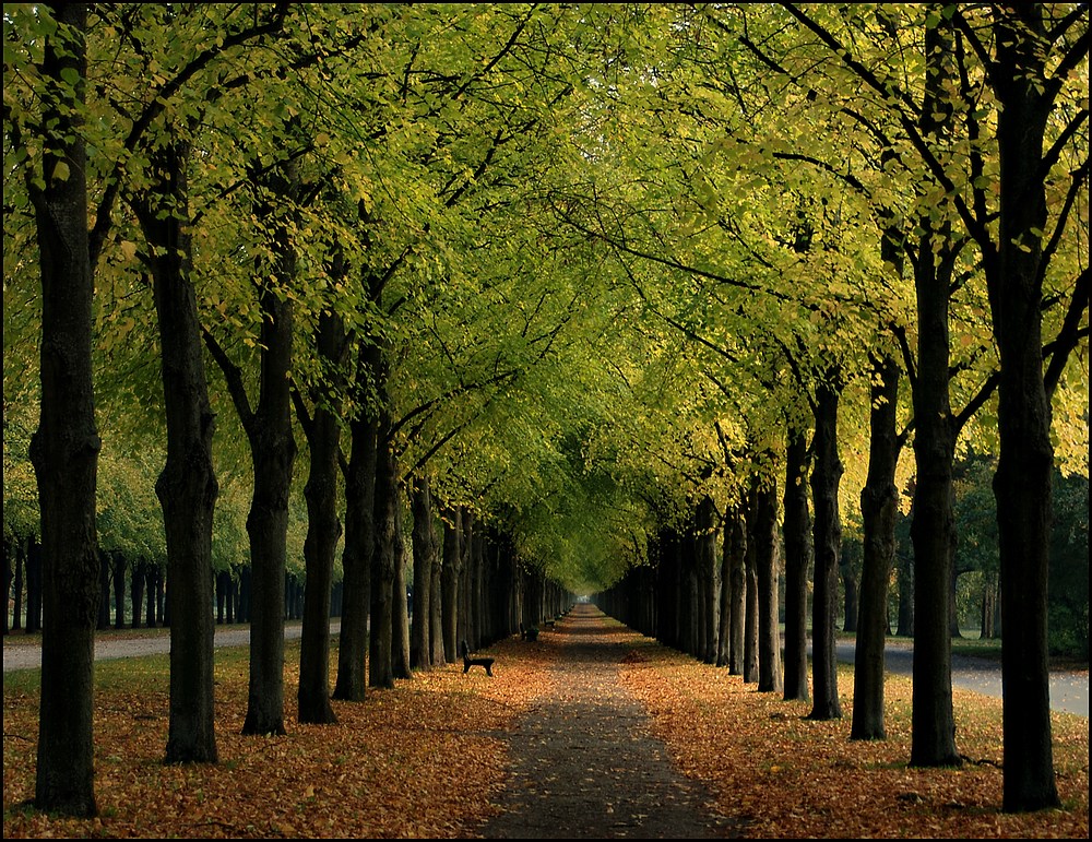 _Georgengarten im Herbst _