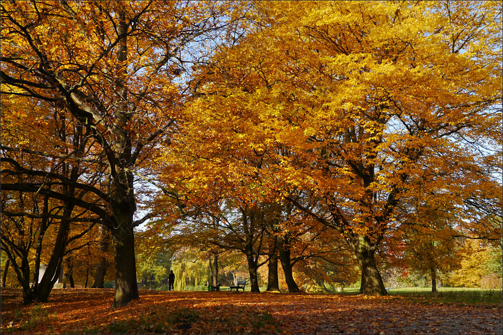 Georgengarten im November