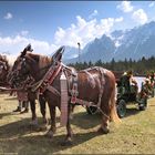 ~ Georgiritt in Mittenwald II ~