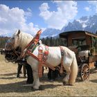 ~ Georgiritt in Mittenwald V ~