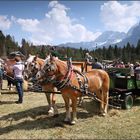 ~ Georgiritt in Mittenwald VI ~