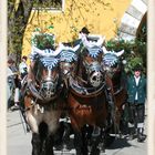 Georgiritt Stein an der Traun 2011 - Nr. 12