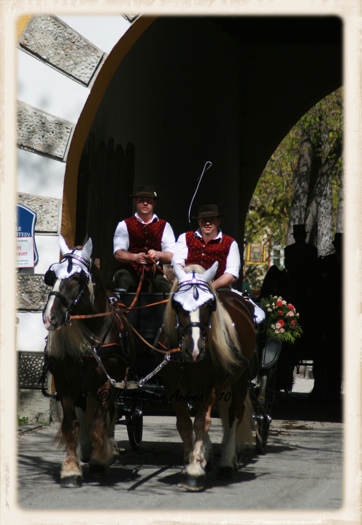 Georgiritt Stein an der Traun 2011 - Nr. 14