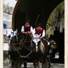 Georgiritt Stein an der Traun 2011 - Nr. 14