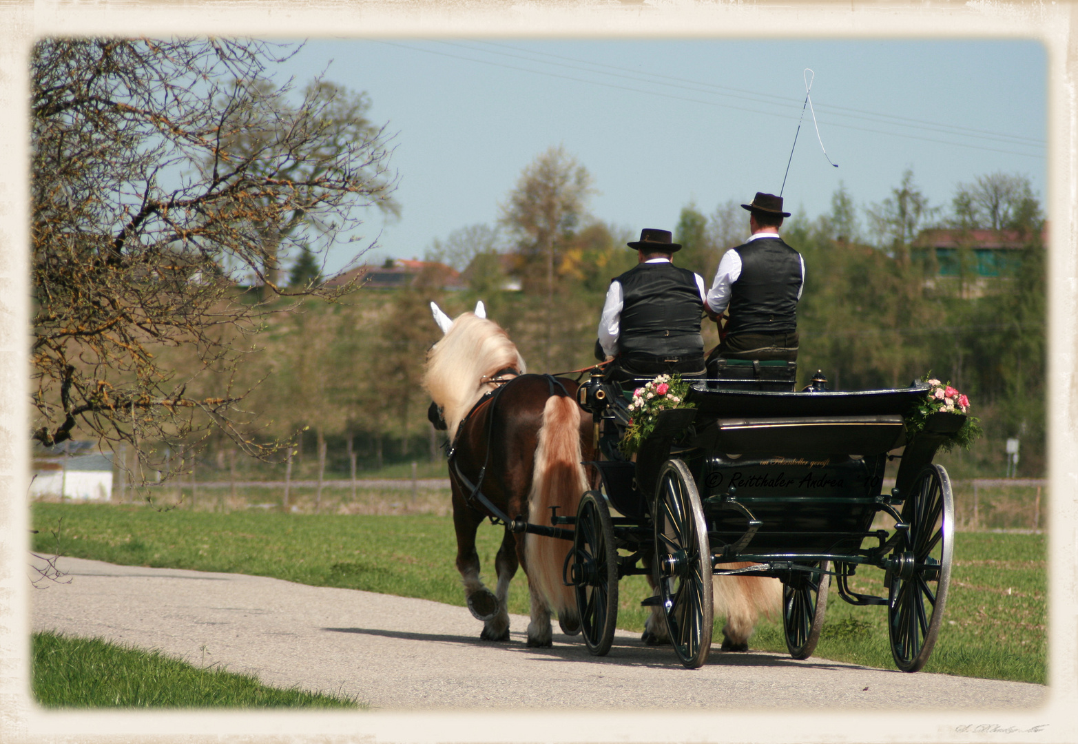 Georgiritt Stein an der Traun 2011 - Nr. 15