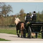 Georgiritt Stein an der Traun 2011 - Nr. 15